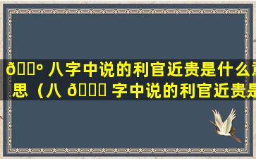 🌺 八字中说的利官近贵是什么意思（八 🍀 字中说的利官近贵是什么意思呢）